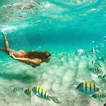 Conforto Terreo De Luxo Frente A Piscina - Aloha A17